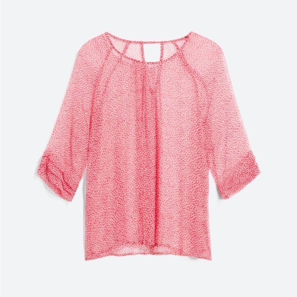 Paradigma size XL